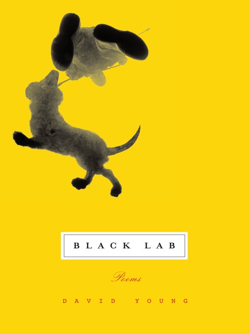 Title details for Black Lab by David Young - Available